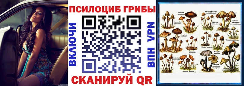Галлюциногенные грибы GOLDEN TEACHER Саратов